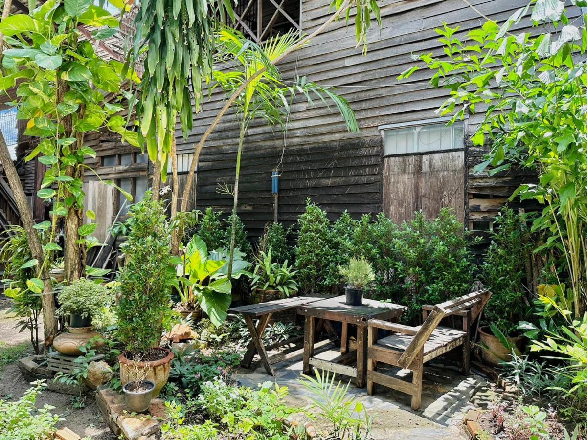 Cozy Nest Cnx Hostel Chiang Mai Bagian luar foto